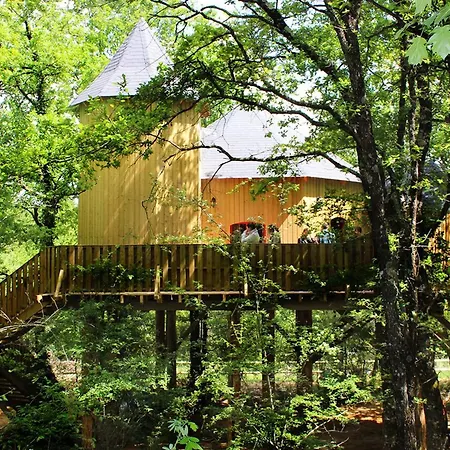 Dans Les Arbres, Animaux Ok - 10 Pers. - Api-1-52-2494 Camping *