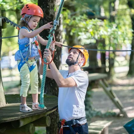 Camping Dans Les Arbres, Animaux Ok - 10 Pers. - Api-1-52-2494